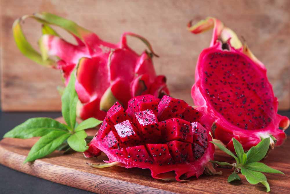 6-easy-steps-to-grow-dragon-fruit-in-a-pot-harvest-fruit-howto