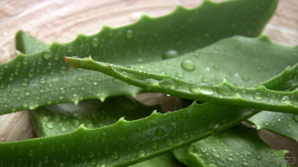 4 Ways To Eat Aloe Vera Healthy Benefits For Skin Howto