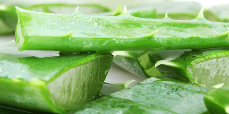 4 Ways to Eat Aloe Vera Healthy Benefits for Skin - Howto