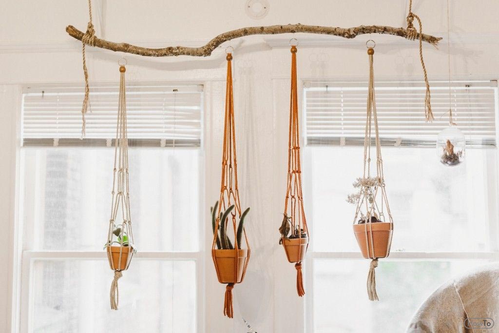 5 Steps To Follow If You Want To Hang Plants Ceiling Howto