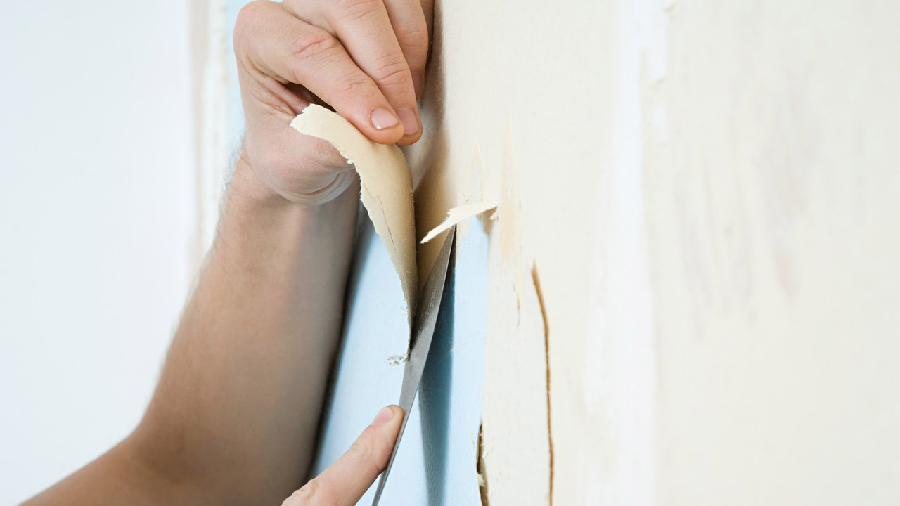 5 Tips to Remove the Wallpaper Paste Easy and Quick Howto