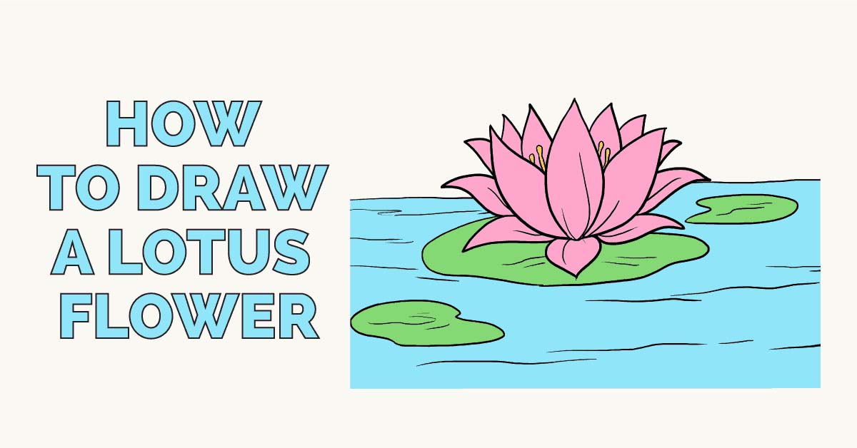 How to Draw a Lotus Flower Make a Nice flower in 5 Steps Howto