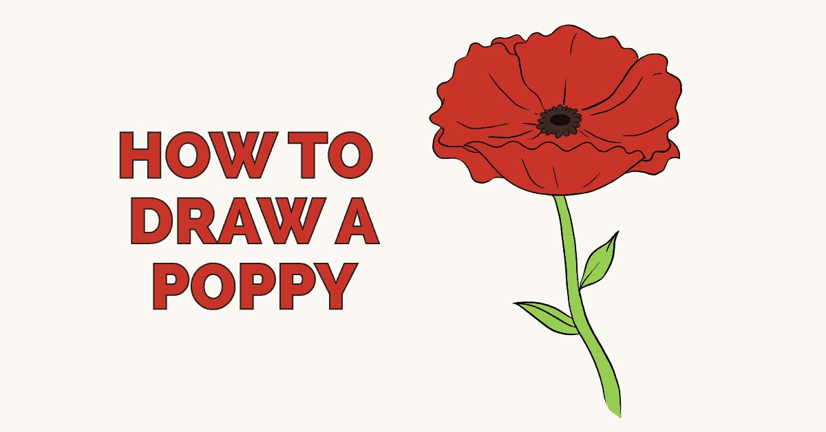 How to Draw a Poppy in Just 5 Simple Steps as a Pro Howto