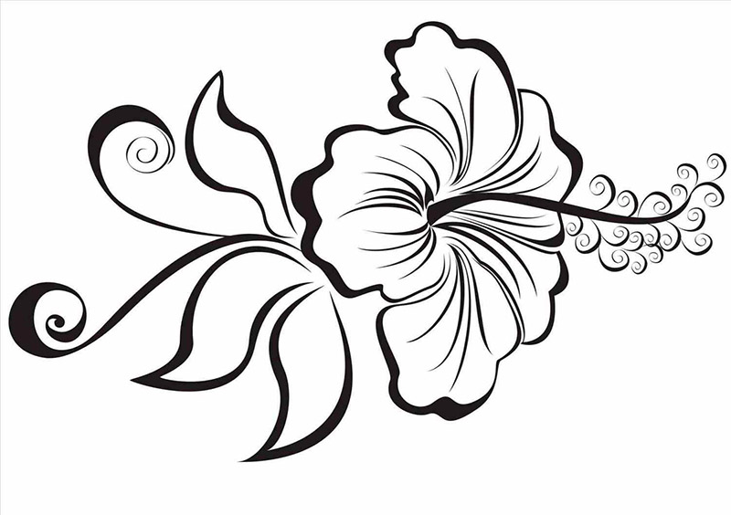7. Black Hibiscus Flower Nail Art Water Decals - Set of 10 - wide 10