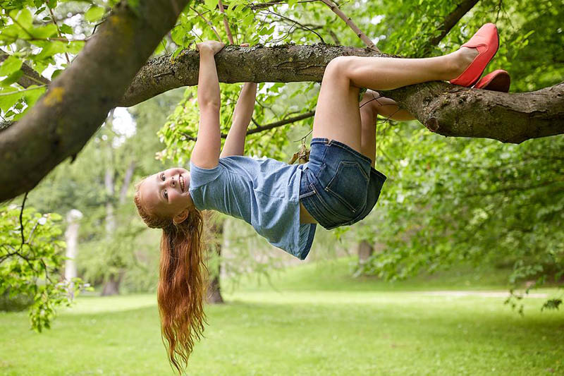 Climb A Tree Saying Meaning