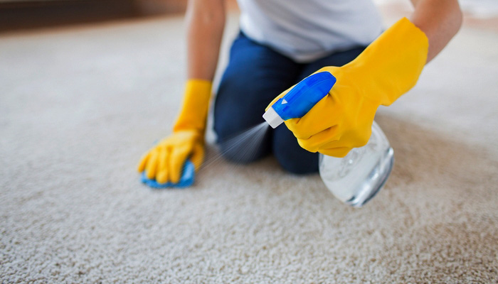 How to Get Dog Hair Out of Carpet: 5 Easy Ways - Howto