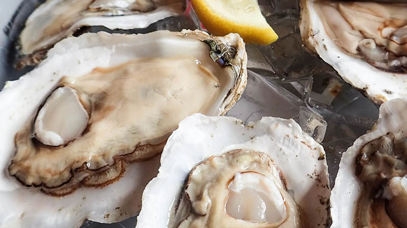 How to Steam Oysters: Steam and Shuck Oysters - Howto